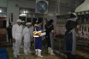 بازدید مشترک  مسئولین استان از کشتارگاه طیور ملایر