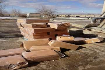 ضبط و معدوم سازی پای مرغ