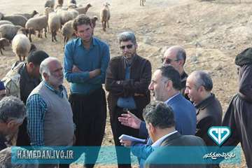 بازدید مدیرکل دامپزشکی و ئیس سازمان برنامه و بودجه استان همدان از فعالیت های اکیپ های واکسیناسیون دا