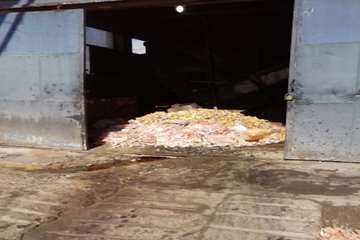 ضبط و معدوم سازی پای مرغ