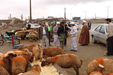 عيد قربان سال 90