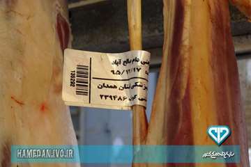 بازرسی از مراکز عرضه مواد خام دامی به همراه صدا و سیمای استان