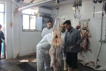 عید قربان 93