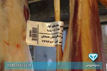 بسته بندی و لیبل گذاری آلایش دامی در استان همدان