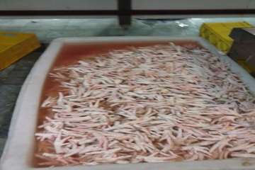 کنترل بسته بندی پای مرغ کشتارگاه توسط بازرسان دامپزشکی