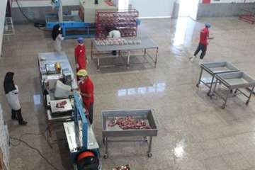 بازدید از کارخانه بسته بندی مواد خام دامی هگمتانه