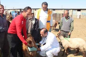 مراسم نظارت بهداشتی و شرعی بر قربانی های شهروندان در عید سعید قربان 