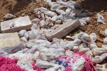 بازرسی و ضبط و معدوم سازی مواد خام دامی غیر بهداشتی