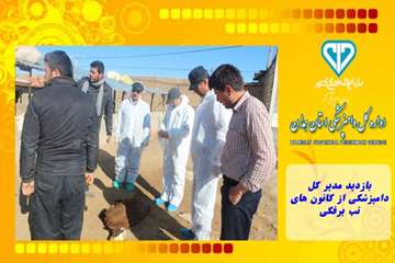 بازدید مدیر کل دامپزشکی از کانون های تب برفکی