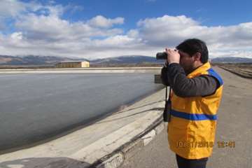 گشت مشترک رؤسای ادارات دامپزشکی اسدآباد و محیط زیست از تالاب ها
