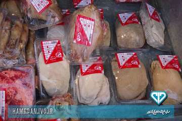 بسته بندی و لیبل گذاری آلایش دامی در استان همدان