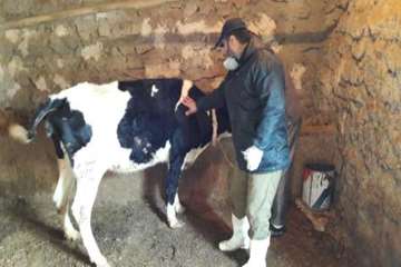 بازدید از مزرعه پرورش تخم چشم زده ماهی