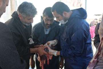 مراسم نظارت بهداشتی و شرعی بر دام های قربانی در تاسوعا و عاشورای حسینی