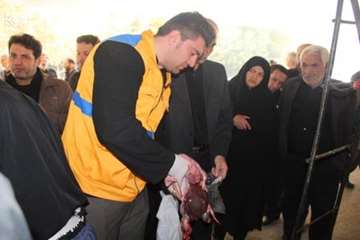 مراسم نظارت بهداشتی و شرعی بر دام های قربانی در تاسوعا و عاشورای حسینی