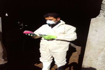 عملیات واکسیناسیون دام در شهرستان بهار