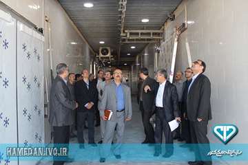 بازدید معاون عمرانی استانداری همدان از کشتارگاه دام