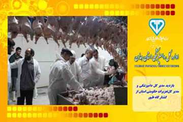 بازدید مدیر کل دامپزشکی و مدیر کل تعزیرات حکومتی استان از کشتار گاه طیور