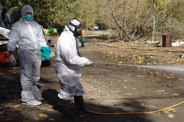 بيماري هاري اسب