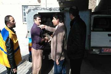 تصاویر کشف،ضبط و معدوم سازی ماهی غیرقابل مصرف توسط اداره دامپزشکی