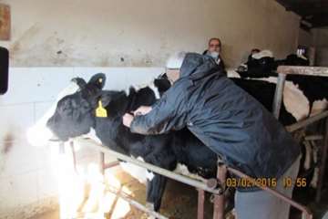 بازدید نماینده صداوسیما از عملکرد واکسیناسیون