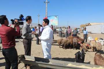 عید قربان 93