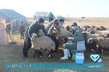 بازدید مدیرکل دامپزشکی و ئیس سازمان برنامه و بودجه استان همدان از فعالیت های اکیپ های واکسیناسیون دا