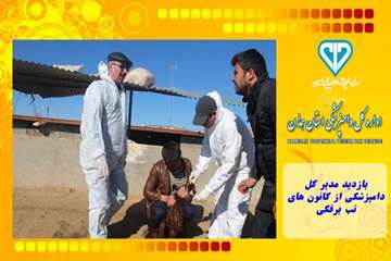 بازدید مدیر کل دامپزشکی از کانون های تب برفکی
