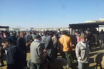 عکس تاسوعا و عاشوراسال95