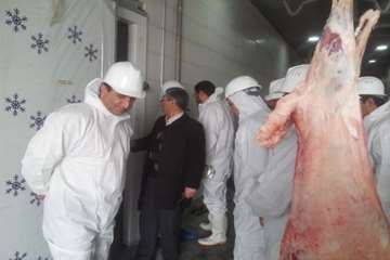 بازدید کشتارگاه دام شهرستان بهار