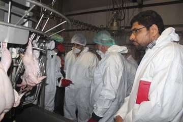 بازدید کارشناسان سازمان دامپزشکی کشور از کشتارگاه طیور در استان همدان