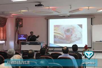 برگزاری کلاس آموزشی بیماری آنفلوانزا فوق حاد پرندگان برای دامپزشکان استان همدان