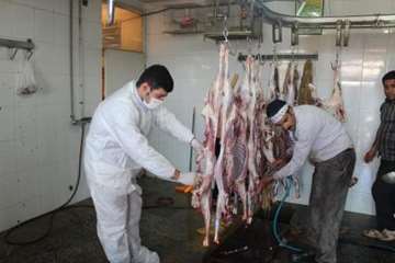 مراسم نظارت بهداشتی و شرعی بر قربانی های شهروندان در عید سعید قربان 