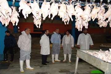 كشتارگاه طيور