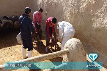 خدمت رسانی به روستای محروم در هفته دامپزشکی