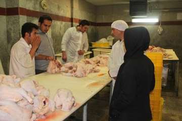 بازرسی و ضبط و معدوم سازی مواد خام دامی غیر بهداشتی