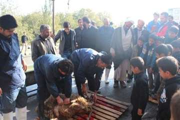 مراسم نظارت بهداشتی و شرعی بر دام های قربانی در تاسوعا و عاشورای حسینی