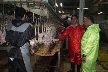 بازدید مشترک  مسئولین استان از کشتارگاه طیور ملایر