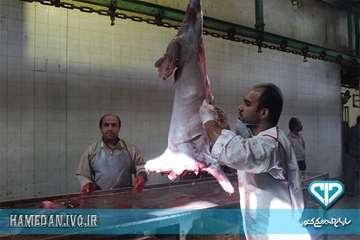 بازدید معاون عمرانی استانداری همدان از کشتارگاه دام