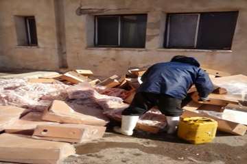 ضبط و معدوم سازی پای مرغ