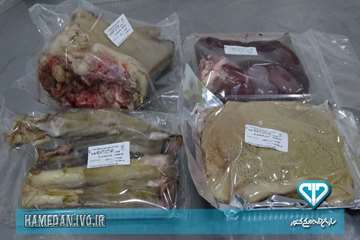 بسته بندی و لیبل گذاری آلایش دامی در استان همدان