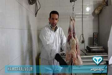 بازرسی اکیپ های شرعی و بهداشتی از دام های قربانی در روز عید سعید قربان