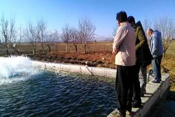 بازدید مراکز پرورش ماهی
