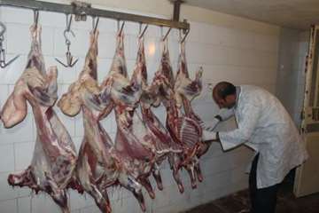 مراسم نظارت بهداشتی و شرعی بر قربانی های شهروندان در عید سعید قربان 