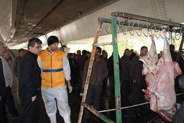 نظارت بهداشتی تاسوعا و عاشورا 93