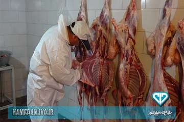 بازرسی اکیپ های شرعی و بهداشتی از دام های قربانی در روز عید سعید قربان