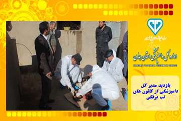 بازدید مدیر کل دامپزشکی از کانون های تب برفکی