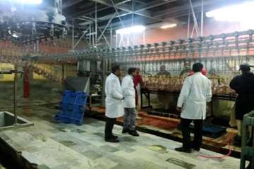 بازدید شبانه از کشتارگاه طیور