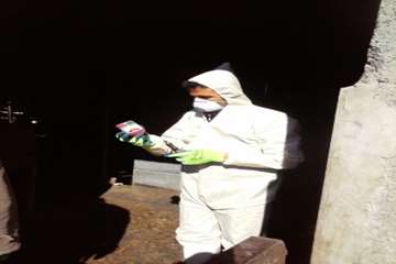 عملیات واکسیناسیون دام در شهرستان بهار