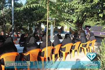 مراسم پیاده روی خواهران بسیجی ادارات استان در هفته دامپزشکی