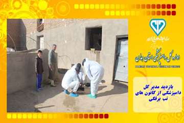 بازدید مدیر کل دامپزشکی از کانون های تب برفکی